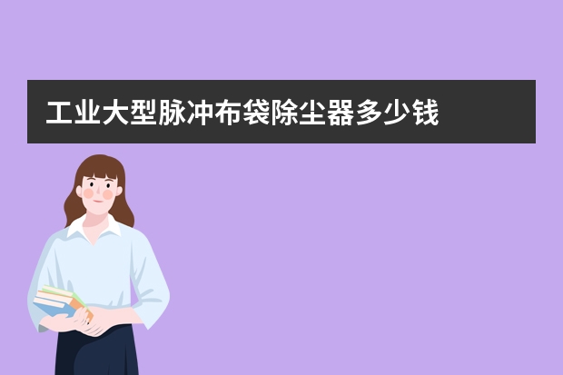 工业大型脉冲布袋除尘器多少钱