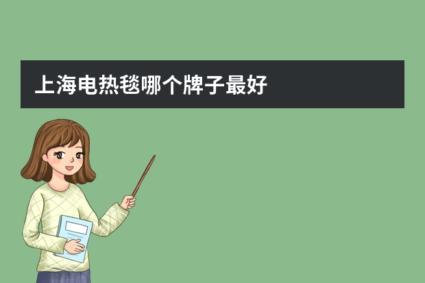 上海电热毯哪个牌子最好