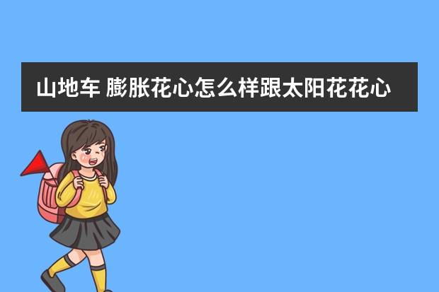 山地车 膨胀花心怎么样跟太阳花花心比？效果好吗？锁得紧吗？