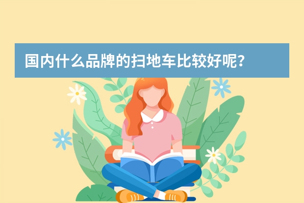 国内什么品牌的扫地车比较好呢？