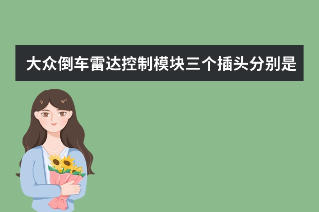 大众倒车雷达控制模块三个插头分别是什么