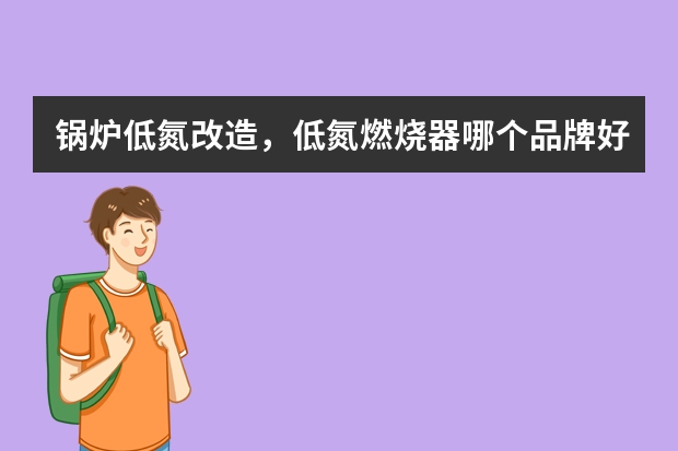 锅炉低氮改造，低氮燃烧器哪个品牌好