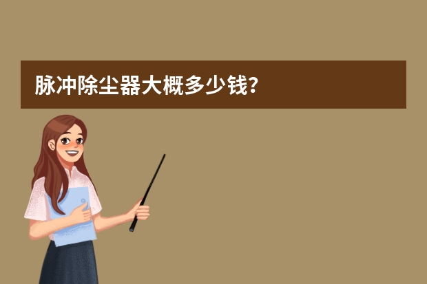 脉冲除尘器大概多少钱？