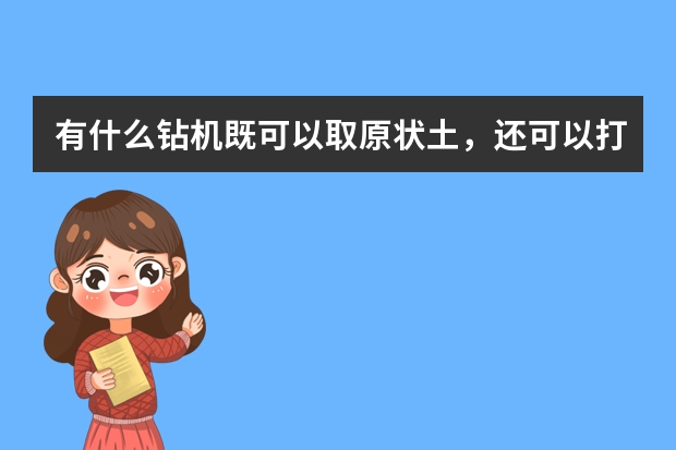 有什么钻机既可以取原状土，还可以打岩石吗，二合一功能，要轻便式的，在山地使用，请大家推荐？