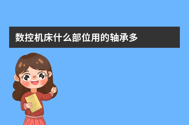 数控机床什么部位用的轴承多