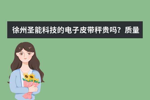 徐州圣能科技的电子皮带秤贵吗？质量怎么样？