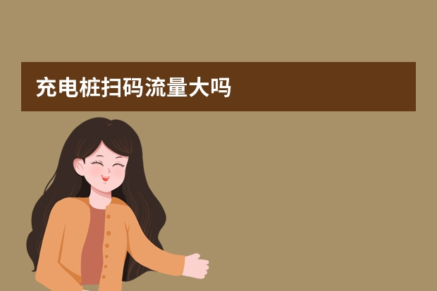 充电桩扫码流量大吗