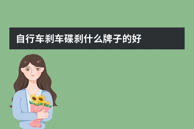 自行车刹车碟刹什么牌子的好