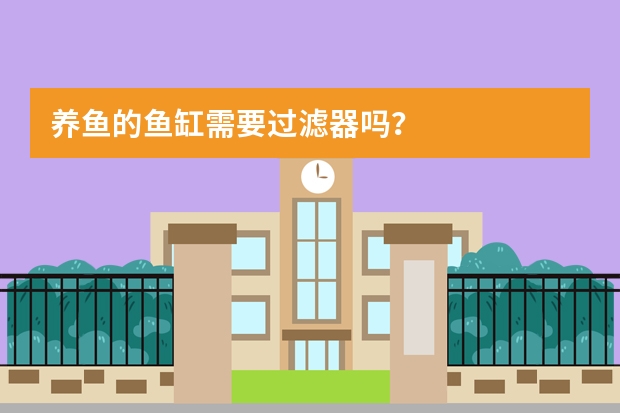 养鱼的鱼缸需要过滤器吗？
