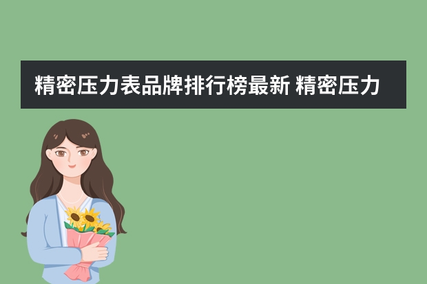 精密压力表品牌排行榜最新 精密压力表的测量范围分类