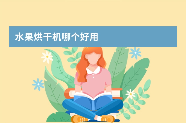 水果烘干机哪个好用