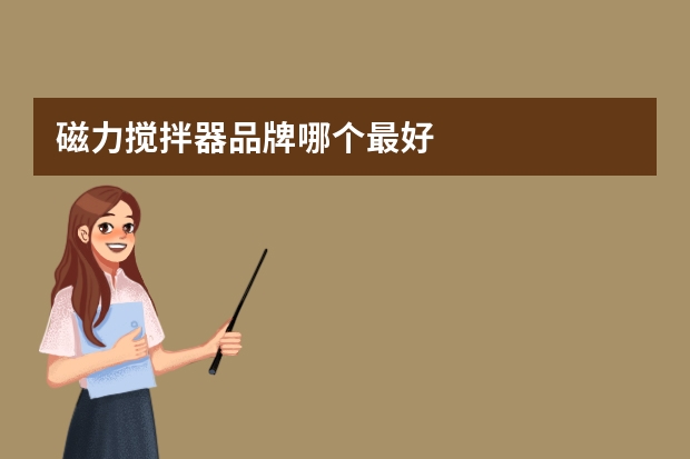 磁力搅拌器品牌哪个最好