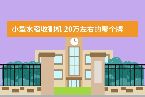 小型水稻收割机 20万左右的哪个牌子的好?型号?详细点的谢谢。国家补助是多少?