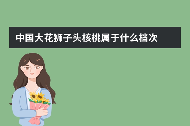 中国大花狮子头核桃属于什么档次