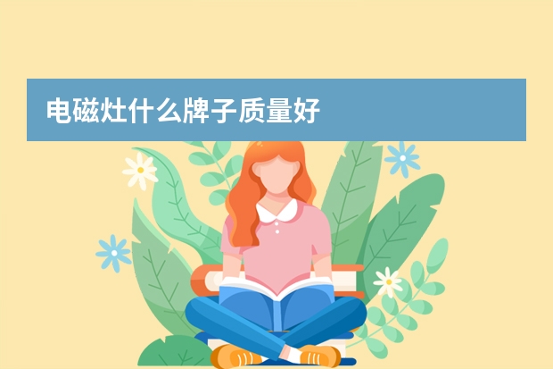 电磁灶什么牌子质量好