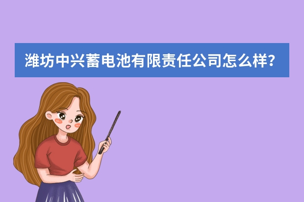 潍坊中兴蓄电池有限责任公司怎么样？