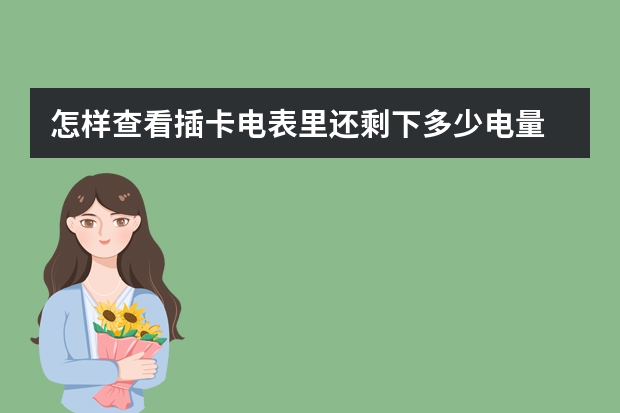 怎样查看插卡电表里还剩下多少电量