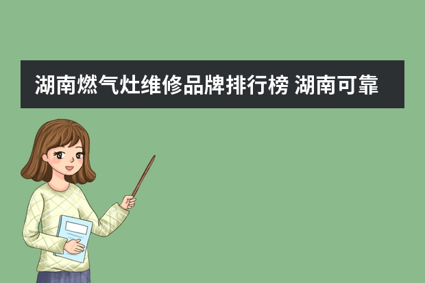 湖南燃气灶维修品牌排行榜 湖南可靠双头燃气灶