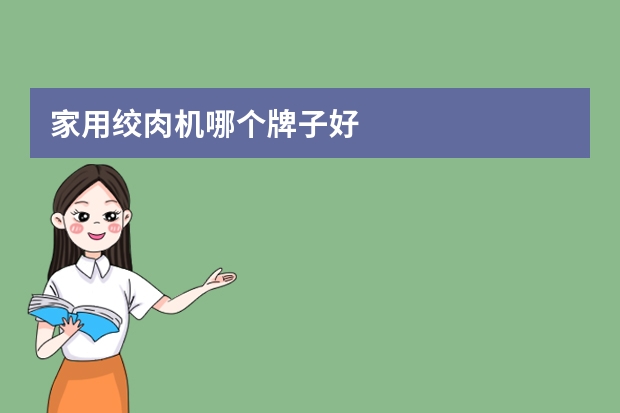 家用绞肉机哪个牌子好