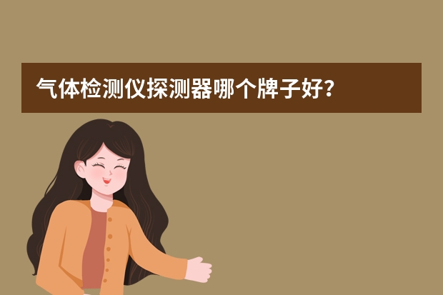 气体检测仪探测器哪个牌子好？