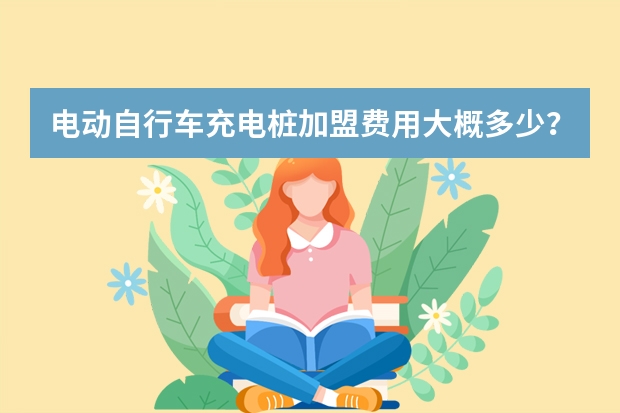 电动自行车充电桩加盟费用大概多少？