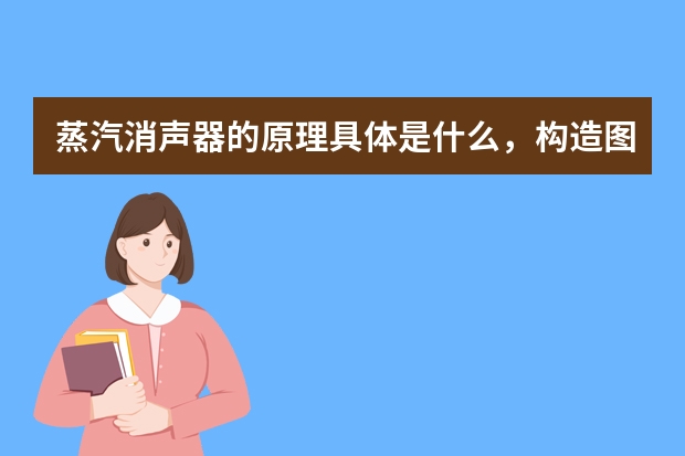 蒸汽消声器的原理具体是什么，构造图要怎么看？