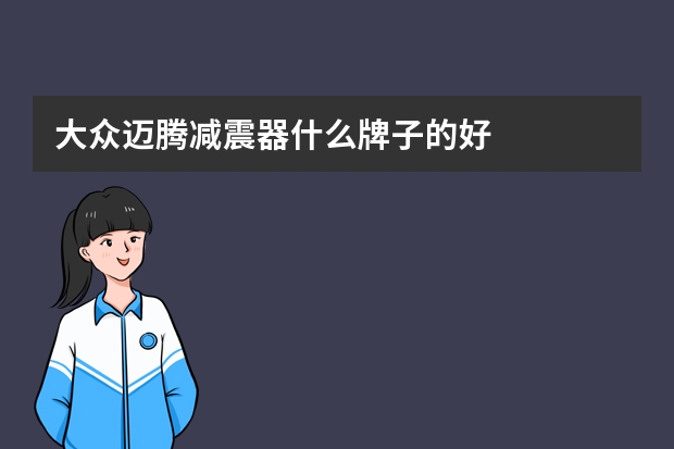 大众迈腾减震器什么牌子的好