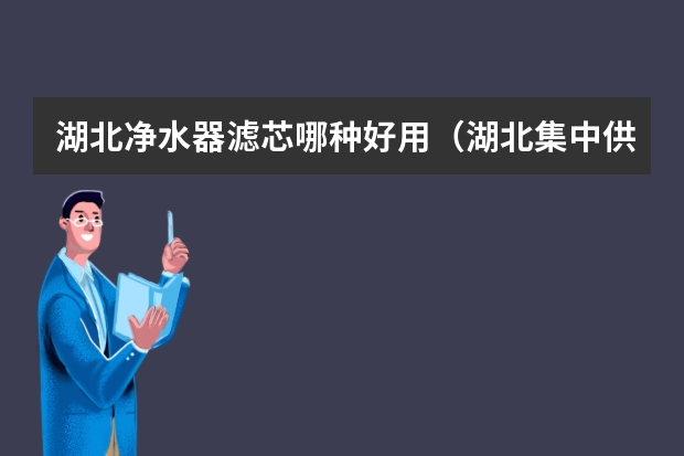 湖北净水器滤芯哪种好用（湖北集中供水净水器安装）
