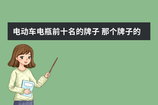 电动车电瓶前十名的牌子 那个牌子的电动车电池比较好