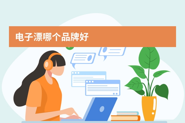 电子漂哪个品牌好