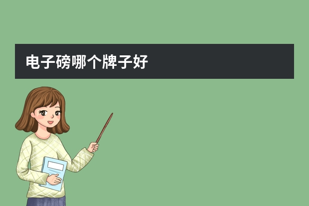 电子磅哪个牌子好