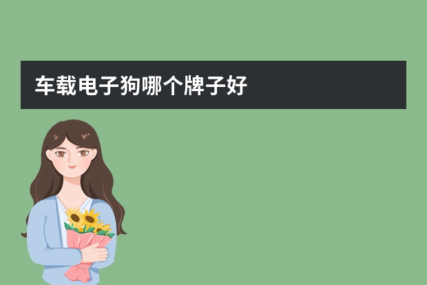 车载电子狗哪个牌子好
