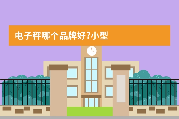 电子秤哪个品牌好?小型