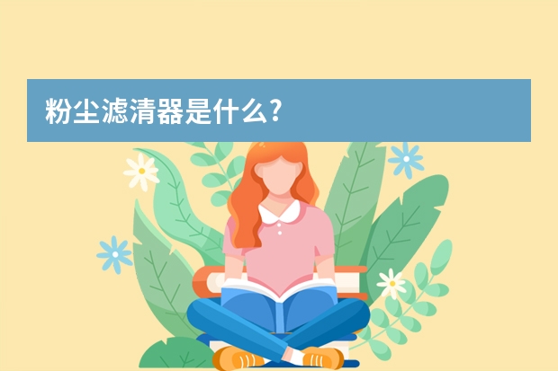 粉尘滤清器是什么?