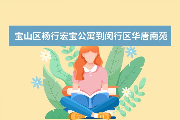 宝山区杨行宏宝公寓到闵行区华唐南苑怎么坐车