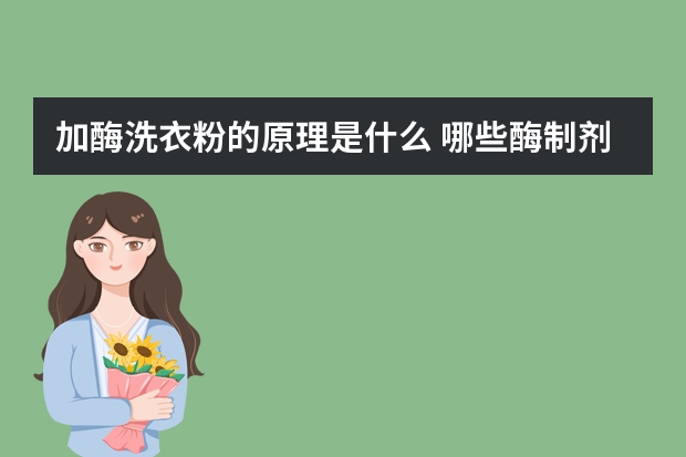 加酶洗衣粉的原理是什么 哪些酶制剂能加入洗衣粉