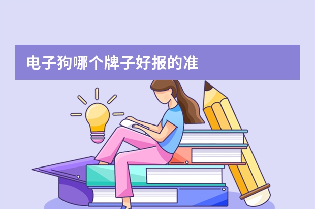 电子狗哪个牌子好报的准