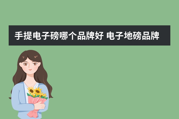 手提电子磅哪个品牌好 电子地磅品牌排名最好是哪家