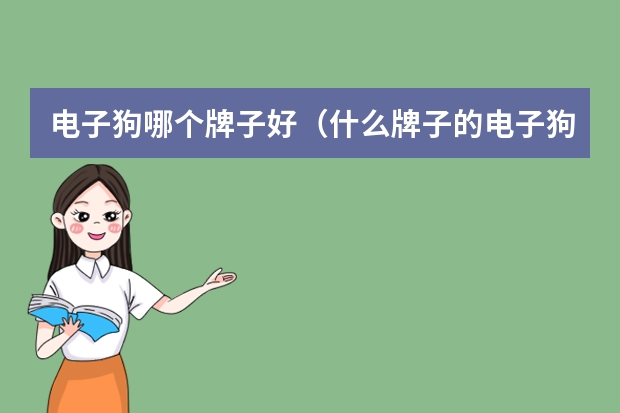 电子狗哪个牌子好（什么牌子的电子狗精准度高）