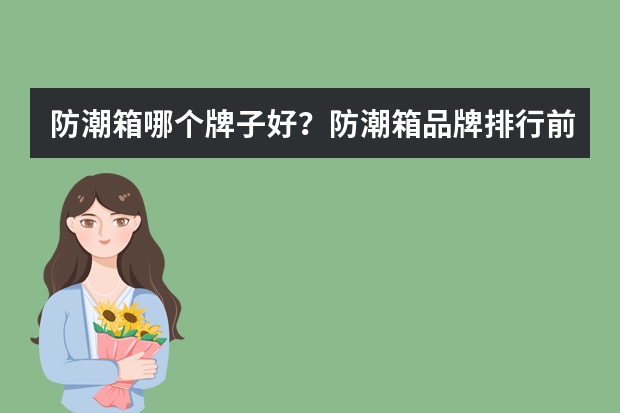 防潮箱哪个牌子好？防潮箱品牌排行前十