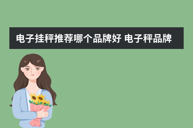 电子挂秤推荐哪个品牌好 电子秤品牌排行榜前十名