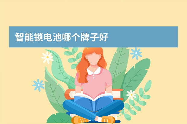 智能锁电池哪个牌子好