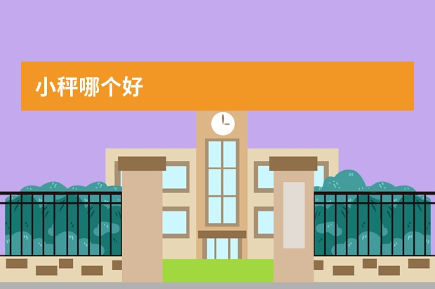 小秤哪个好