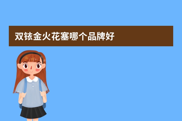 双铱金火花塞哪个品牌好