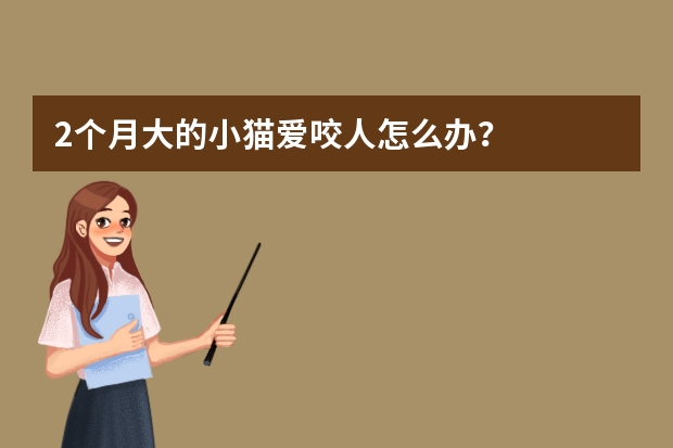 2个月大的小猫爱咬人怎么办？