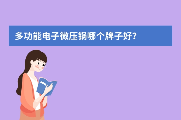 多功能电子微压锅哪个牌子好？