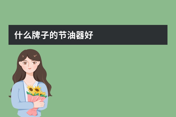 什么牌子的节油器好