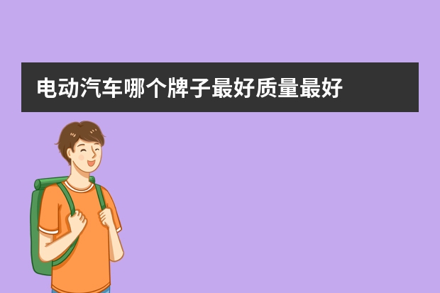 电动汽车哪个牌子最好质量最好