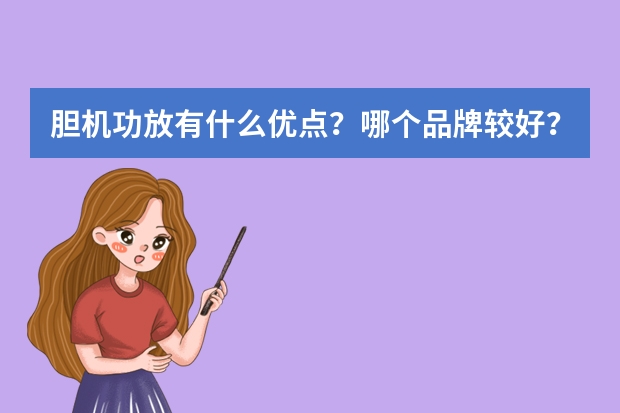 胆机功放有什么优点？哪个品牌较好？