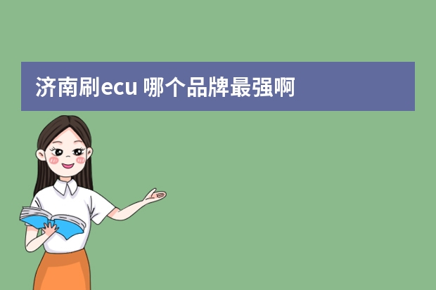 济南刷ecu 哪个品牌最强啊